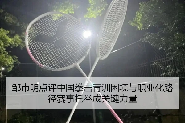 邹市明点评中国拳击青训困境与职业化路径赛事托举成关键力量
